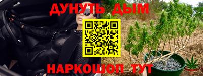 гидра Ливны